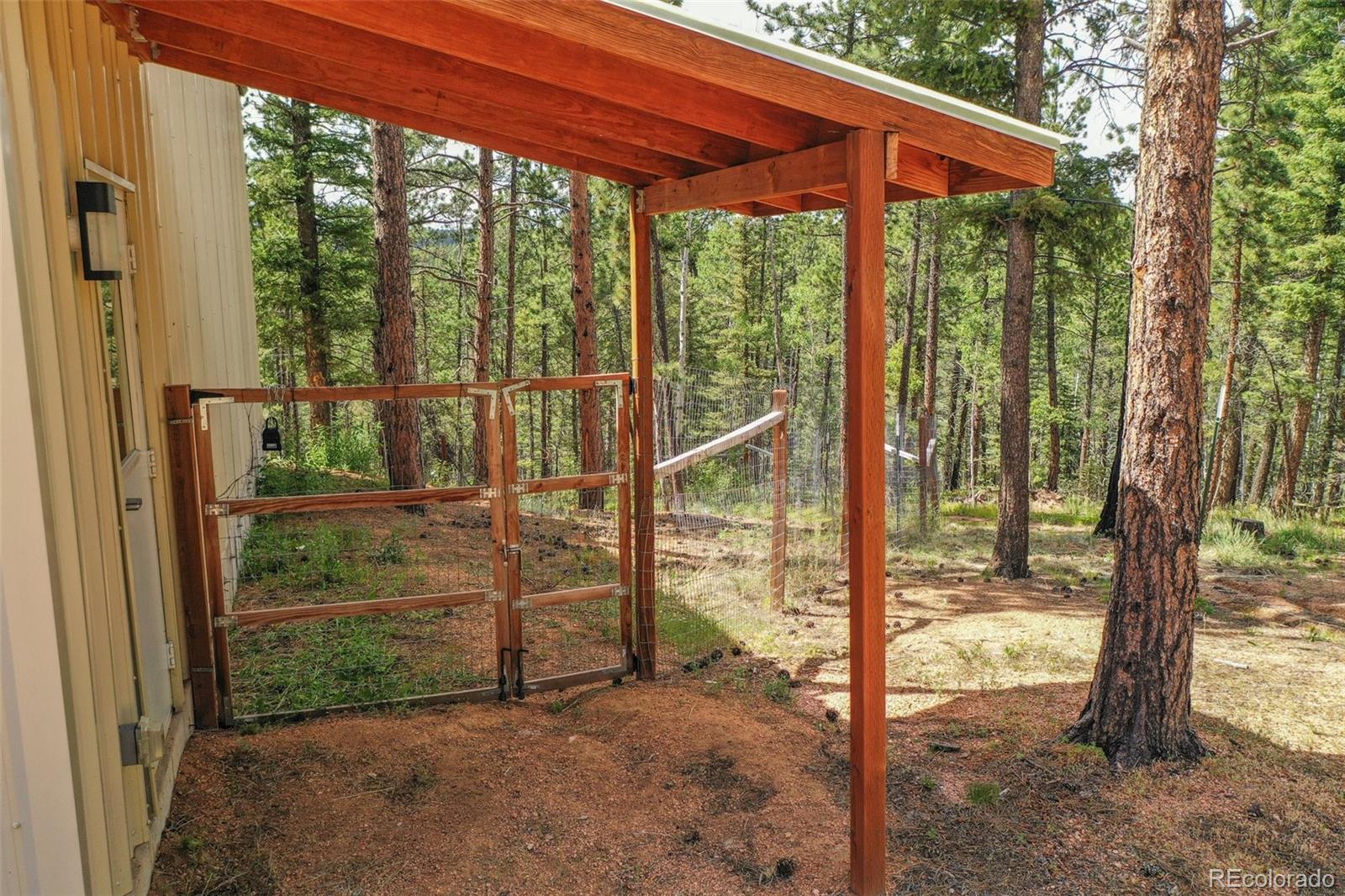 449 Woody Creek Road Florissant CO 80816