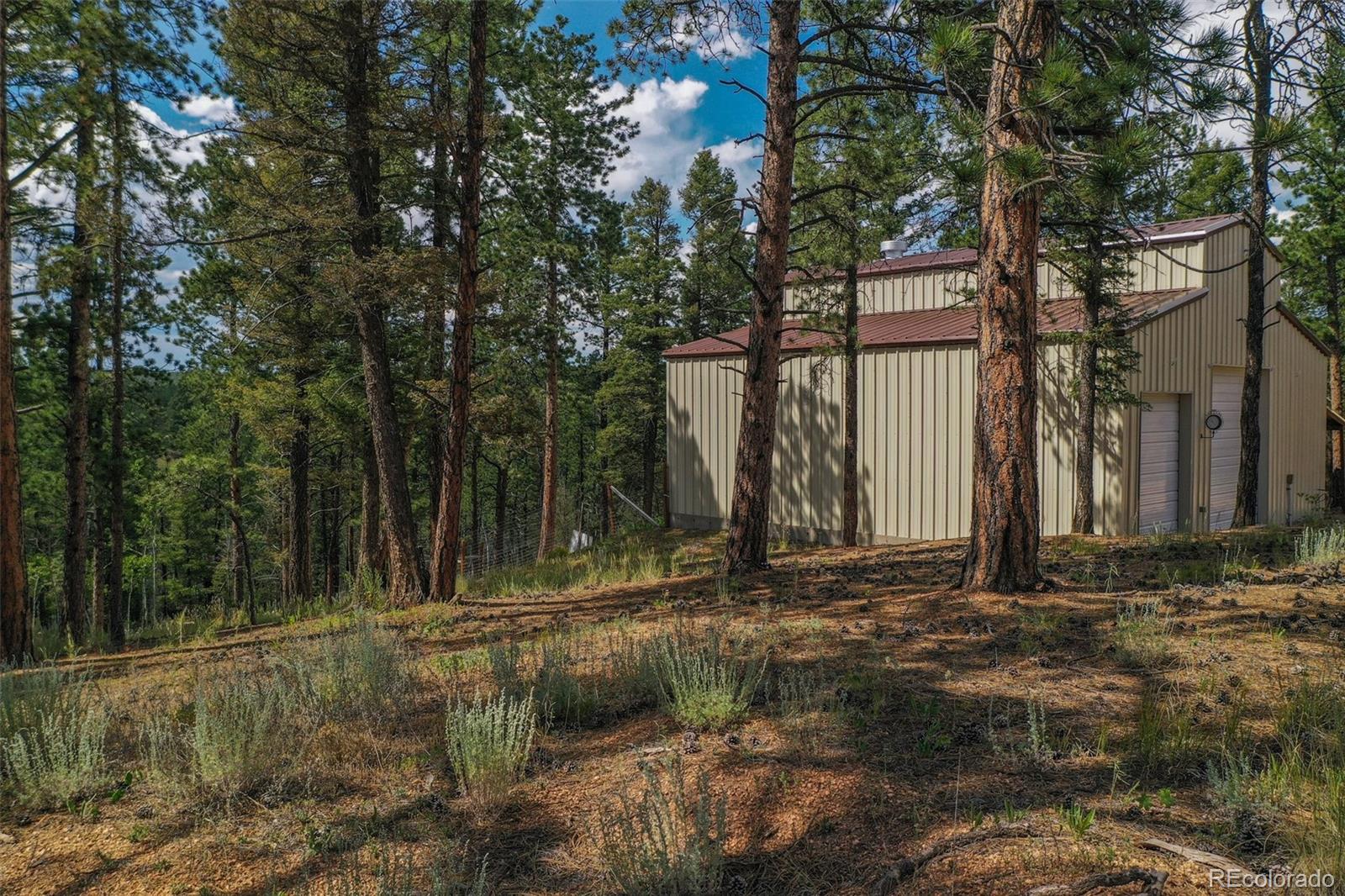449 Woody Creek Road Florissant CO 80816