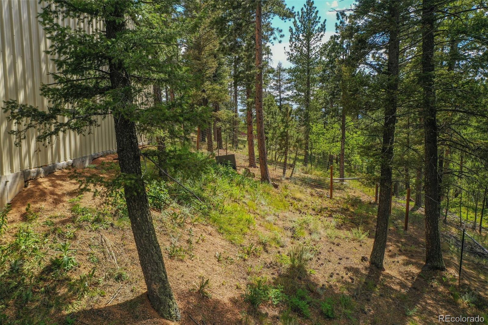 449 Woody Creek Road Florissant CO 80816