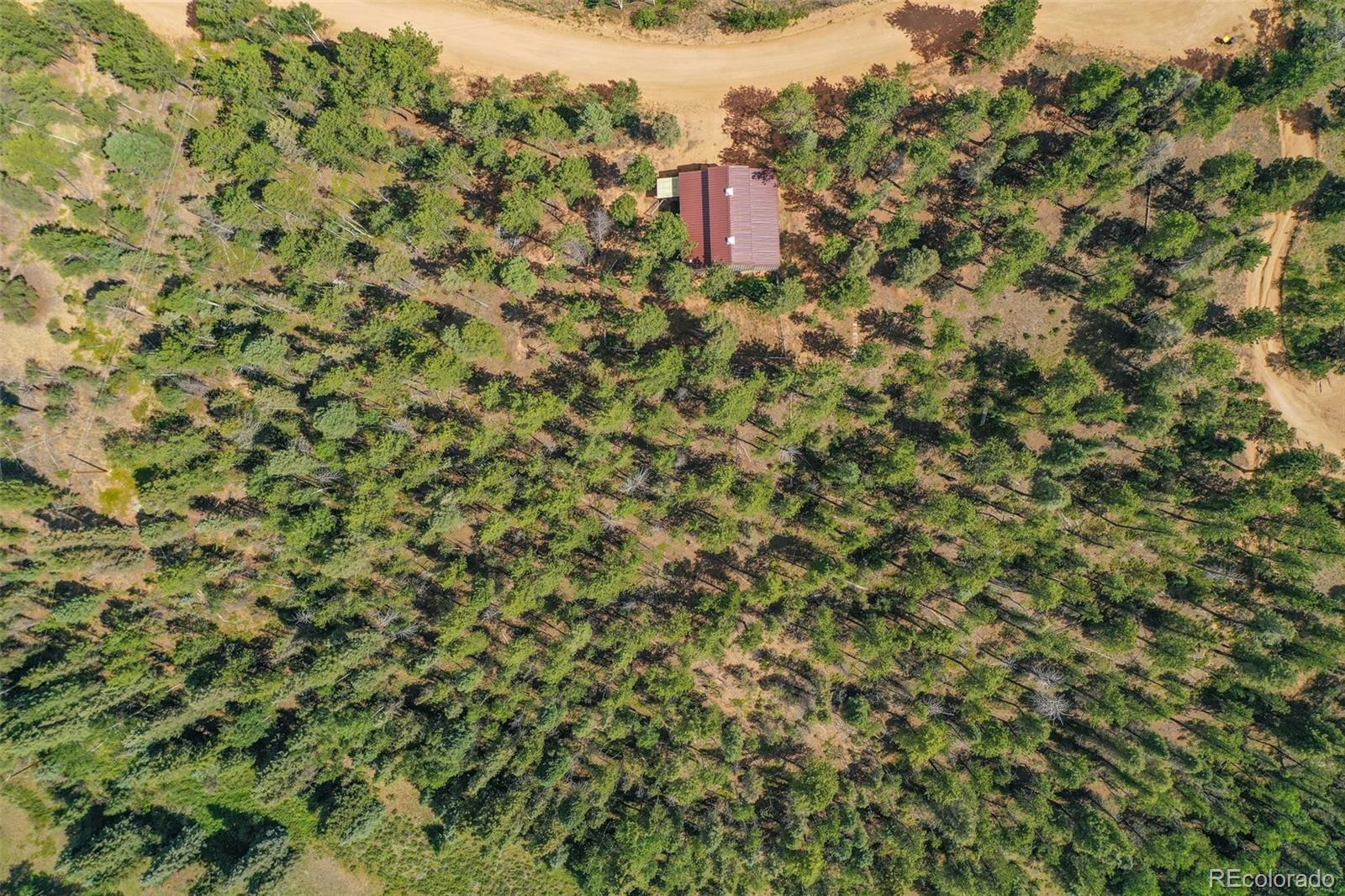 449 Woody Creek Road Florissant CO 80816
