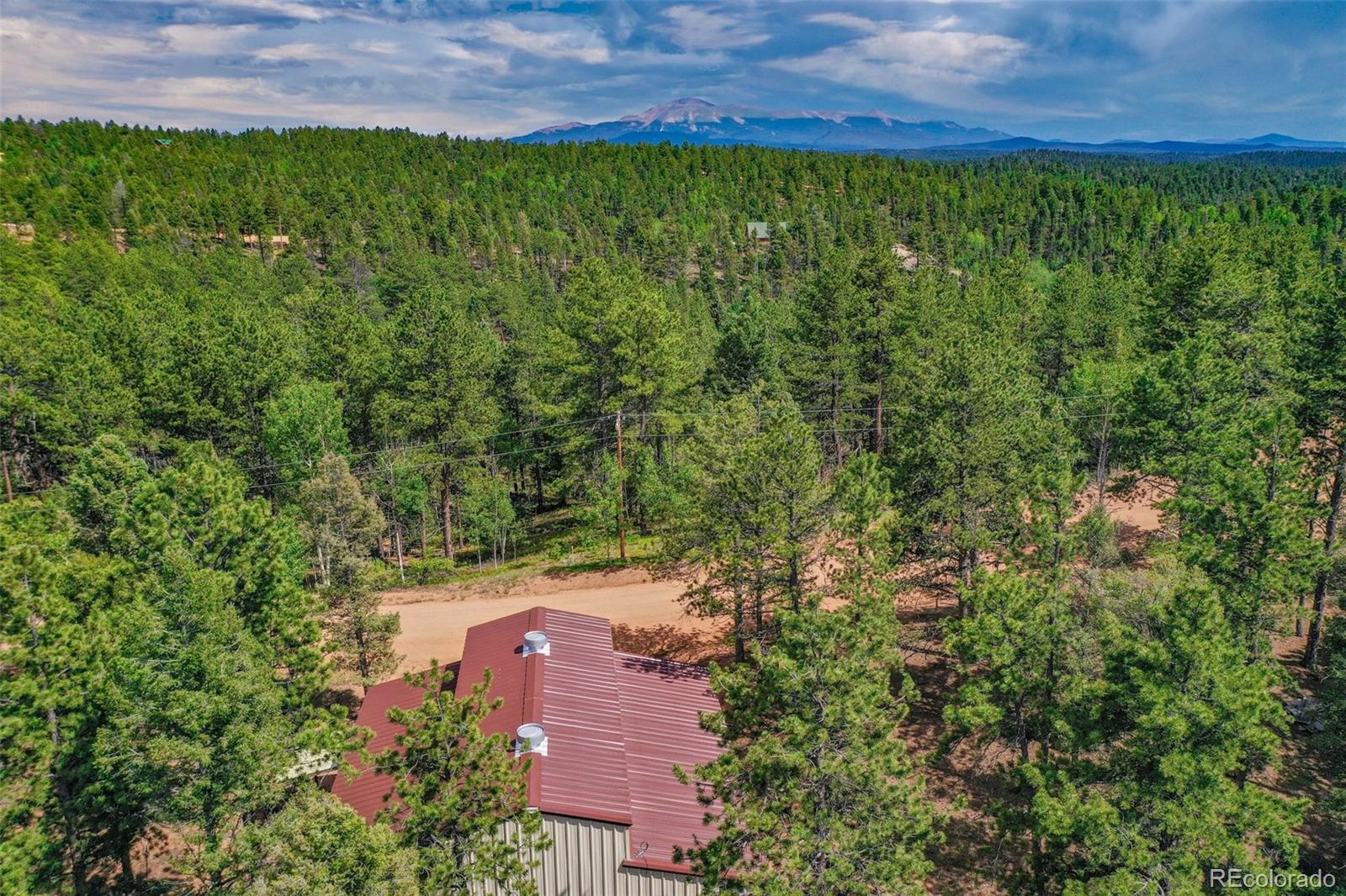 449 Woody Creek Road Florissant CO 80816