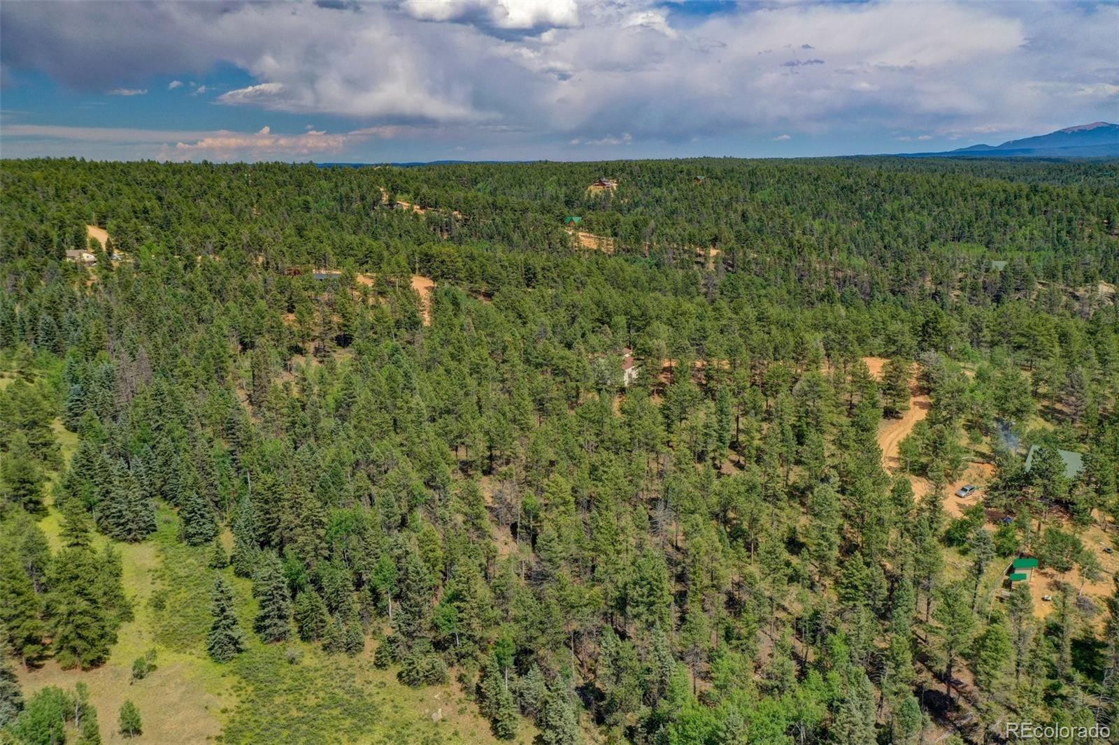 449 Woody Creek Road Florissant CO 80816