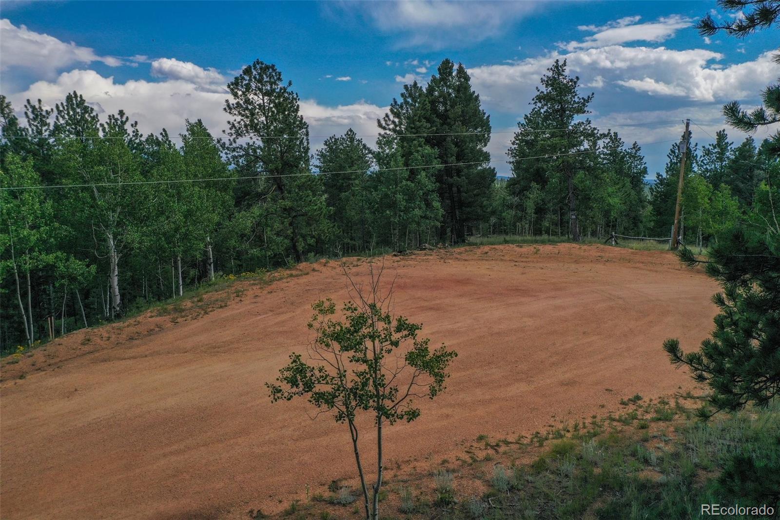 449 Woody Creek Road Florissant CO 80816