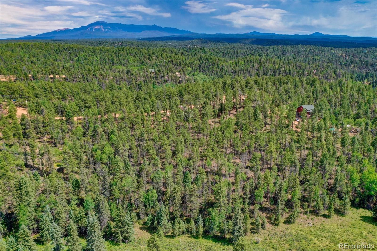 449 Woody Creek Road Florissant CO 80816