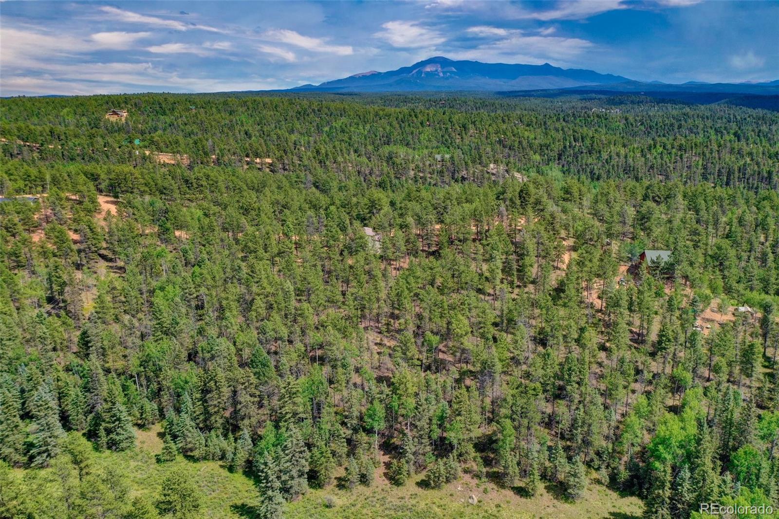 449 Woody Creek Road Florissant CO 80816