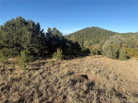 Corral Cotopaxi CO 81223