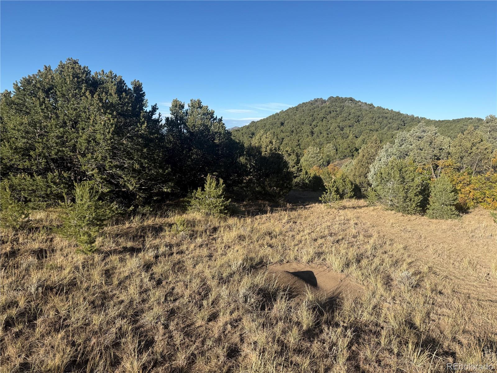 Corral Cotopaxi CO 81223