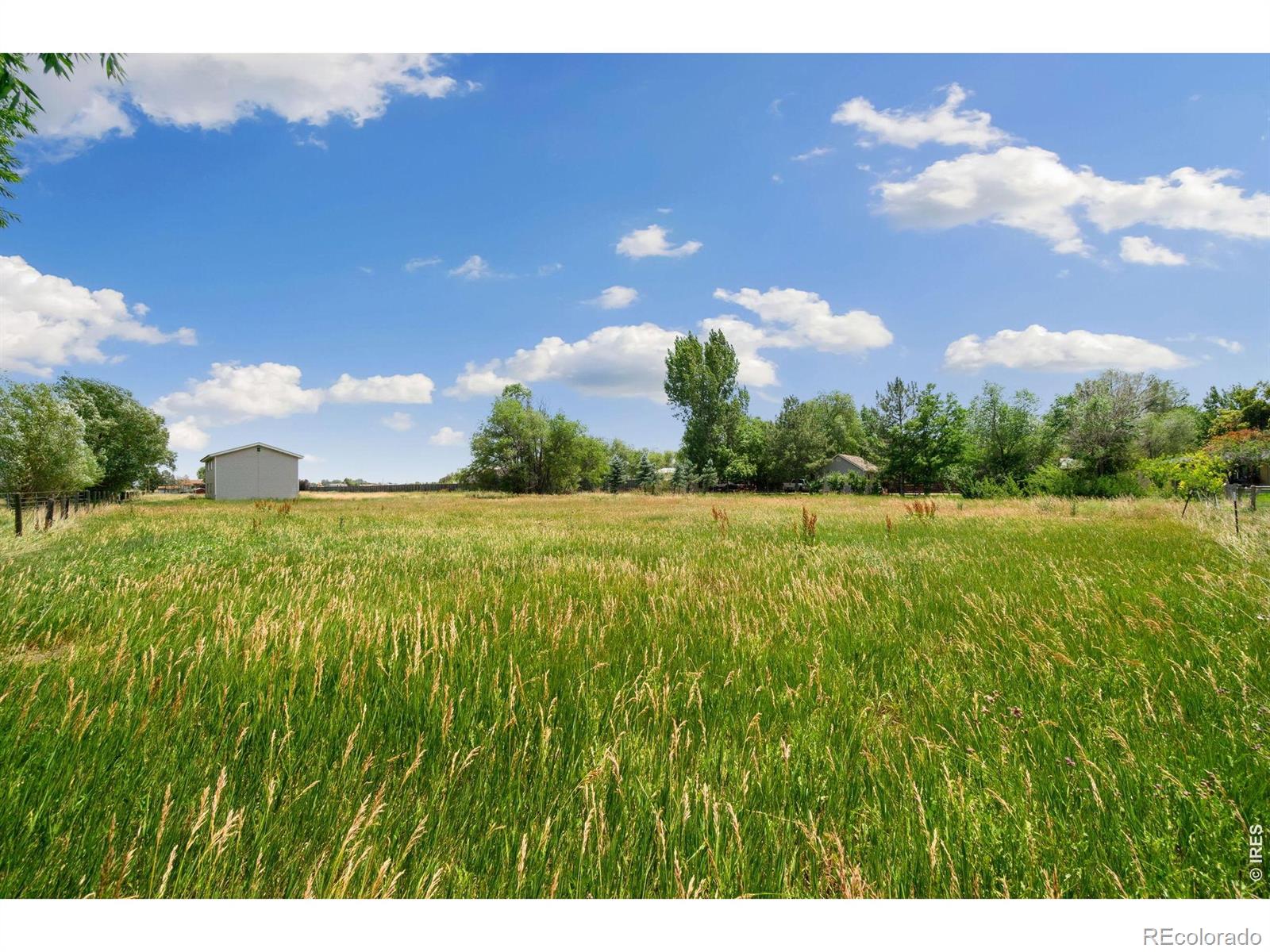 3534 Buckeye Street Fort Collins CO 80524