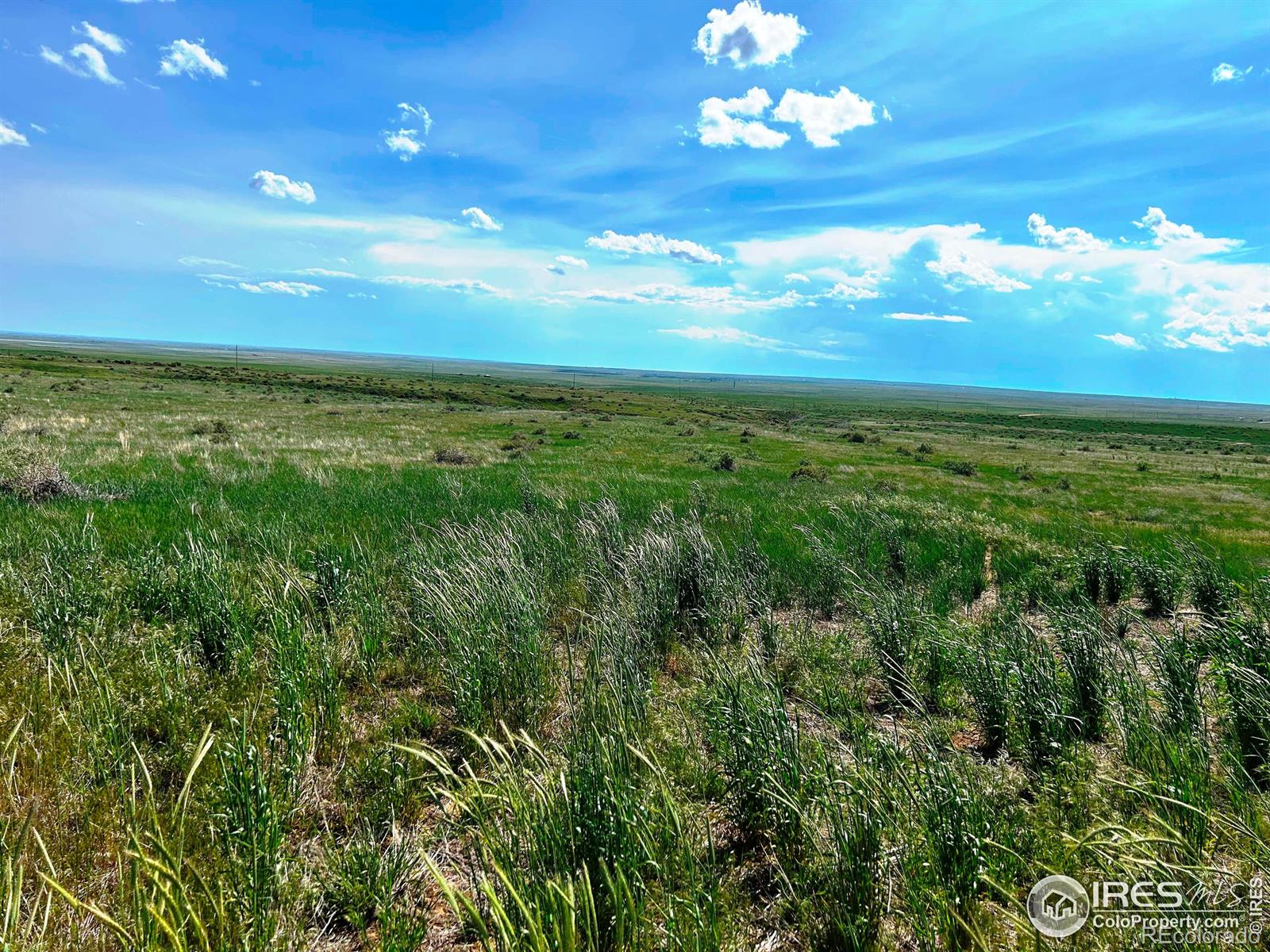 0 County Road 80 Briggsdale CO 80611