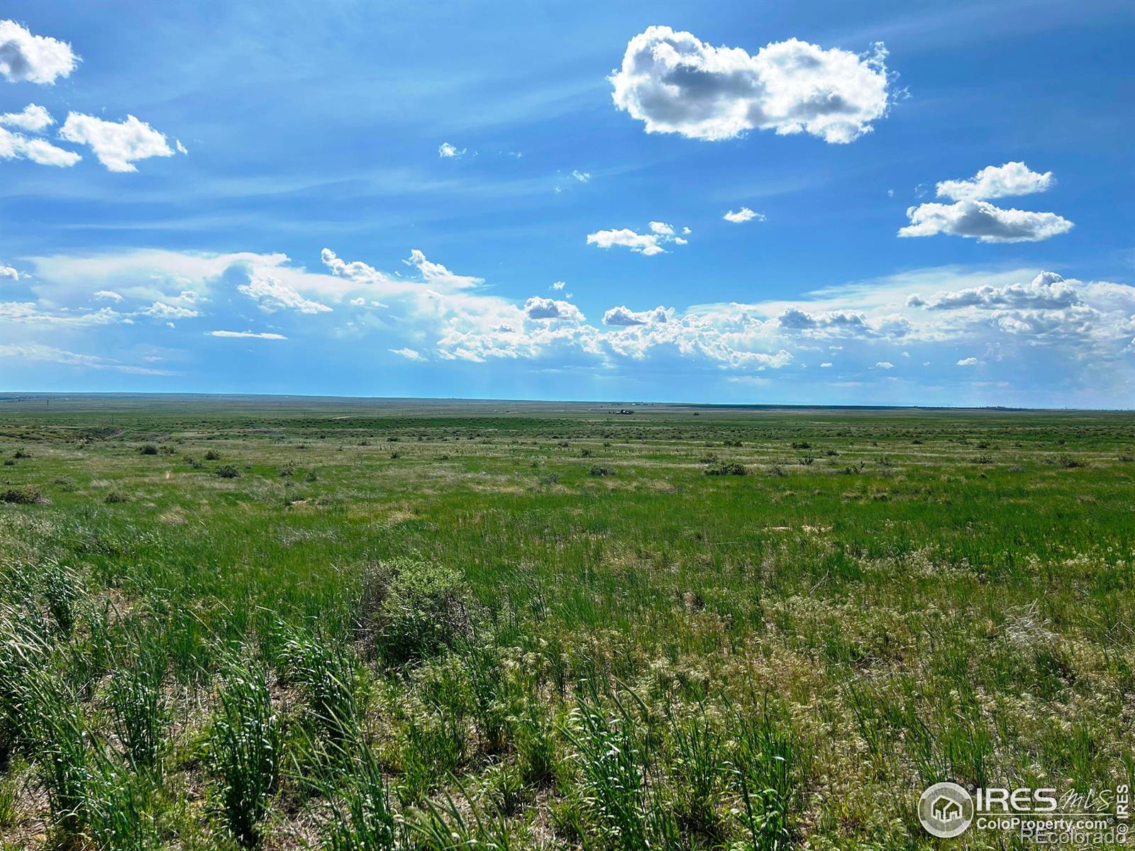 0 County Road 80 Briggsdale CO 80611