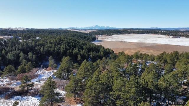 10555 Big Sky Trail Elbert CO 80106