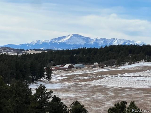 10555 Big Sky Trail Elbert CO 80106
