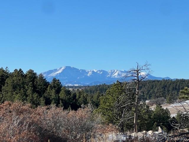 10555 Big Sky Trail Elbert CO 80106