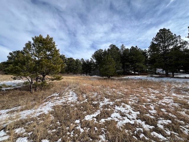 10555 Big Sky Trail Elbert CO 80106
