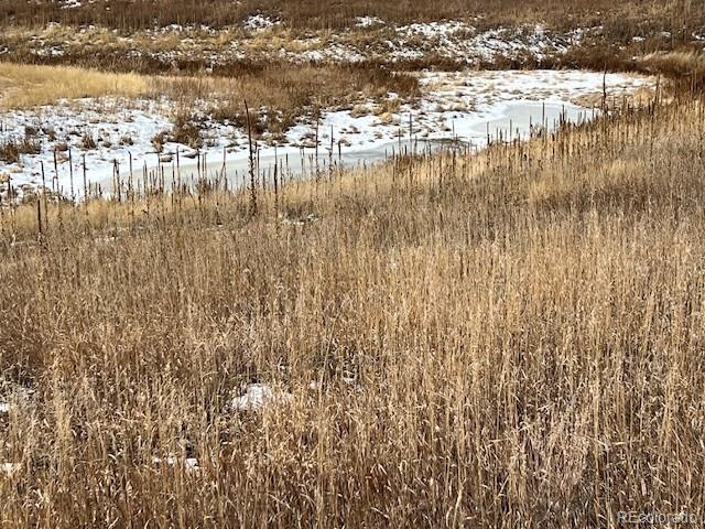 10555 Big Sky Trail Elbert CO 80106