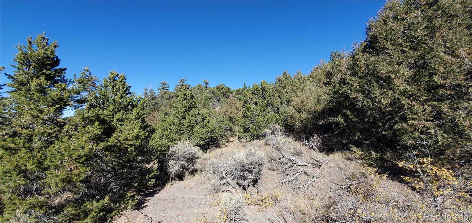 5486 Balleroy Road San Luis CO 81152