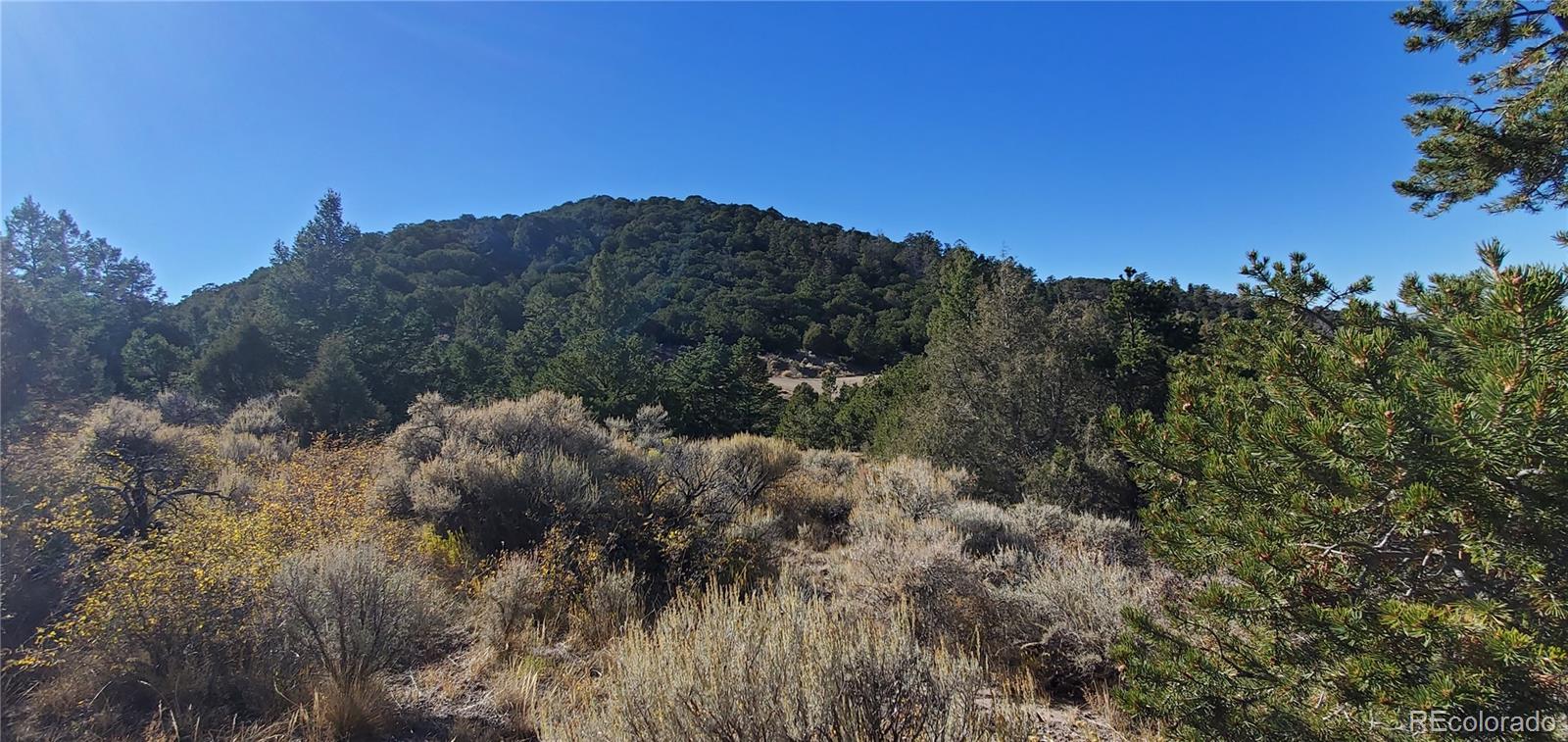 5486 Balleroy Road San Luis CO 81152