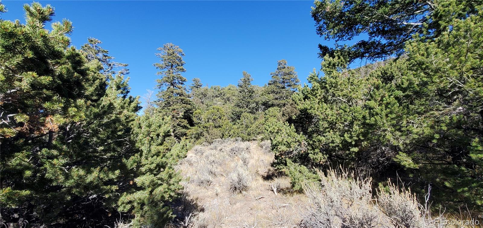 5486 Balleroy Road San Luis CO 81152