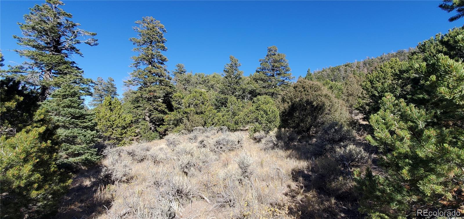 5486 Balleroy Road San Luis CO 81152