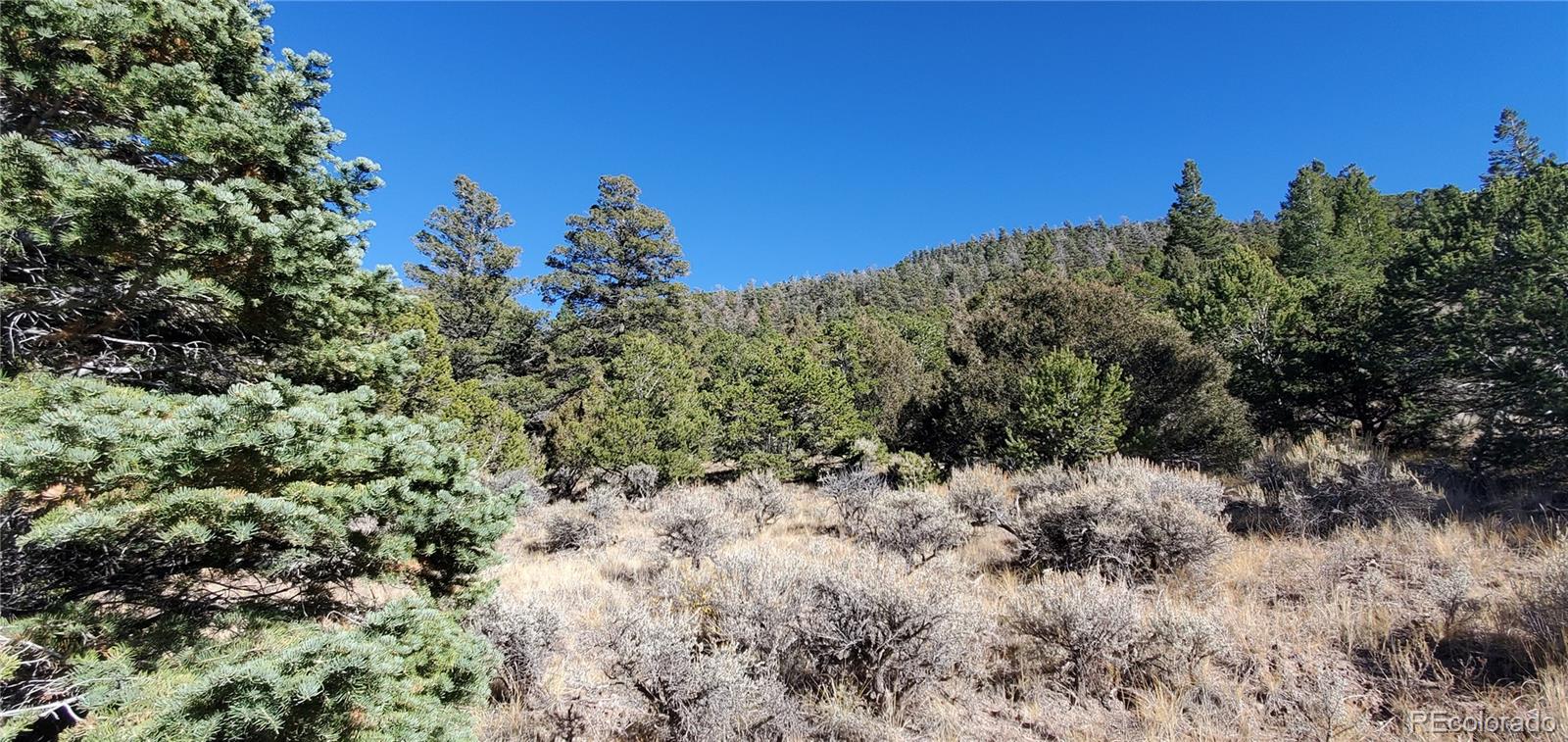 5486 Balleroy Road San Luis CO 81152