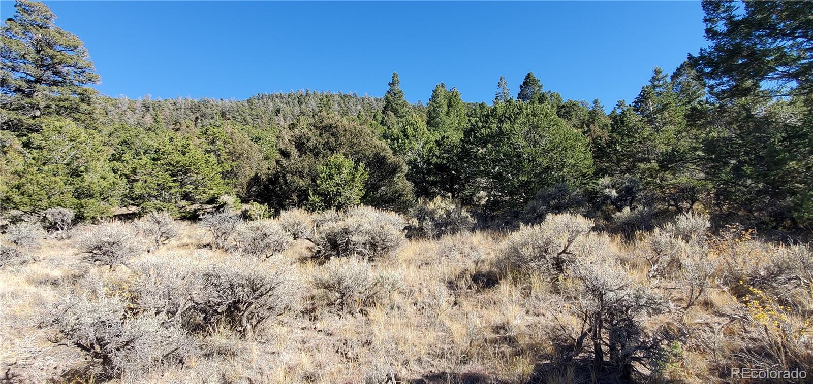 5486 Balleroy Road San Luis CO 81152