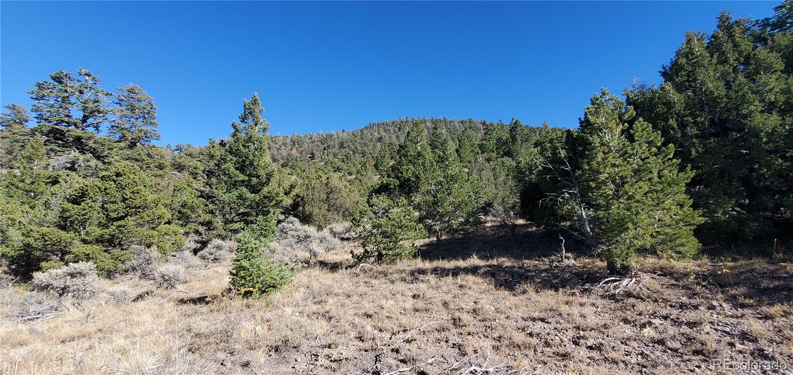 5486 Balleroy Road San Luis CO 81152