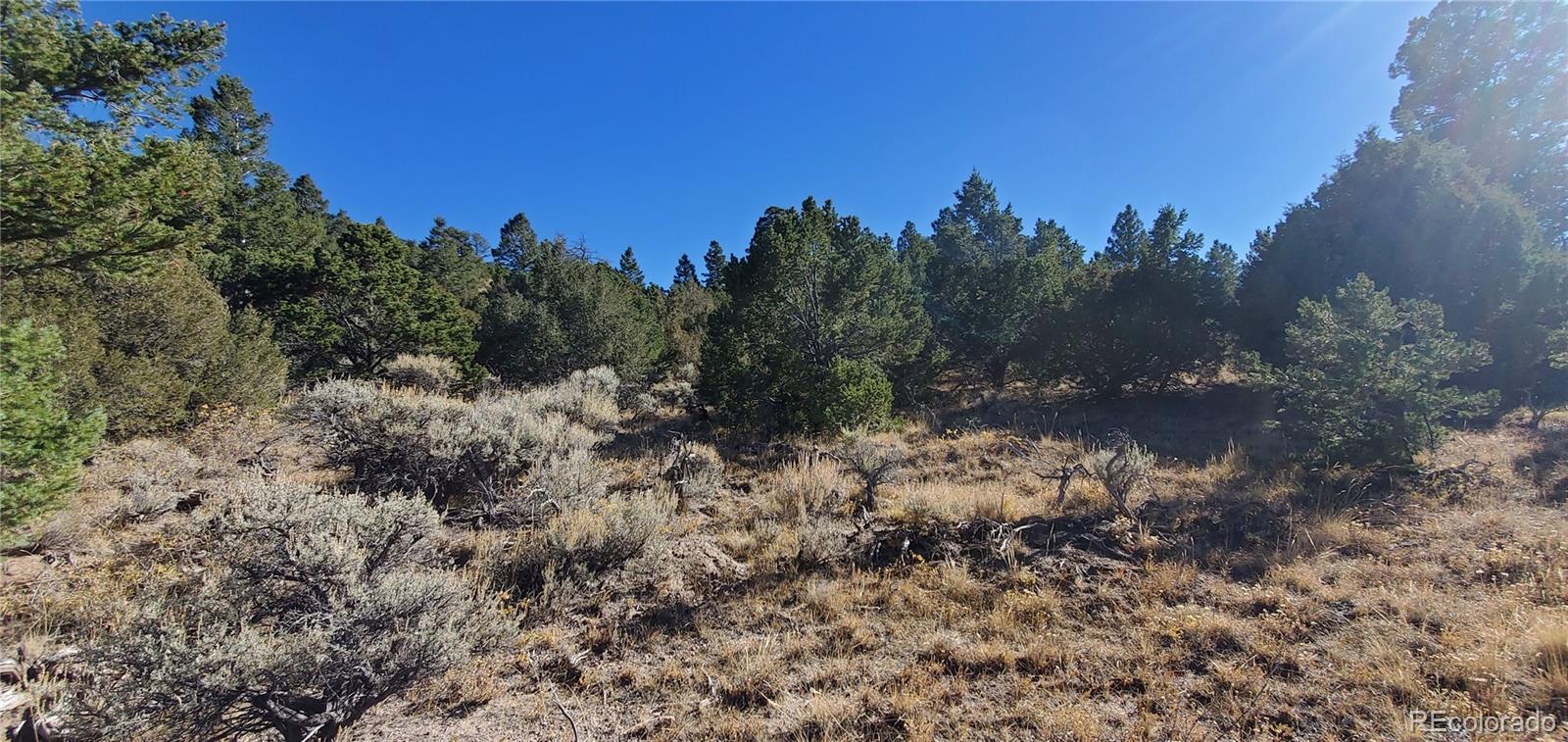 5486 Balleroy Road San Luis CO 81152