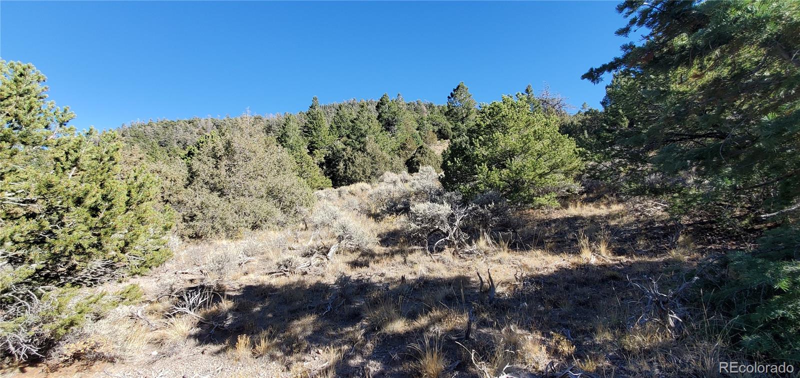 5486 Balleroy Road San Luis CO 81152