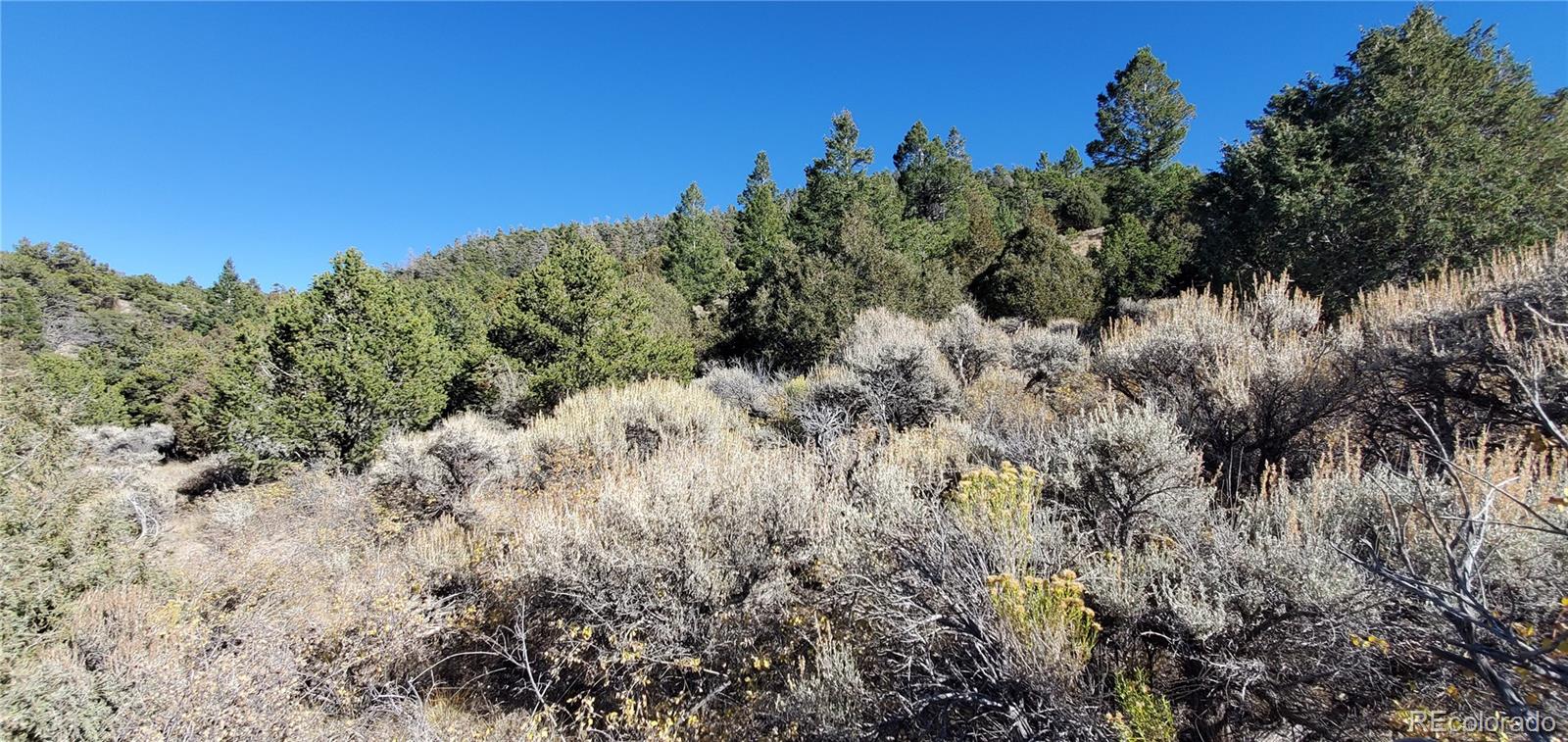 5486 Balleroy Road San Luis CO 81152