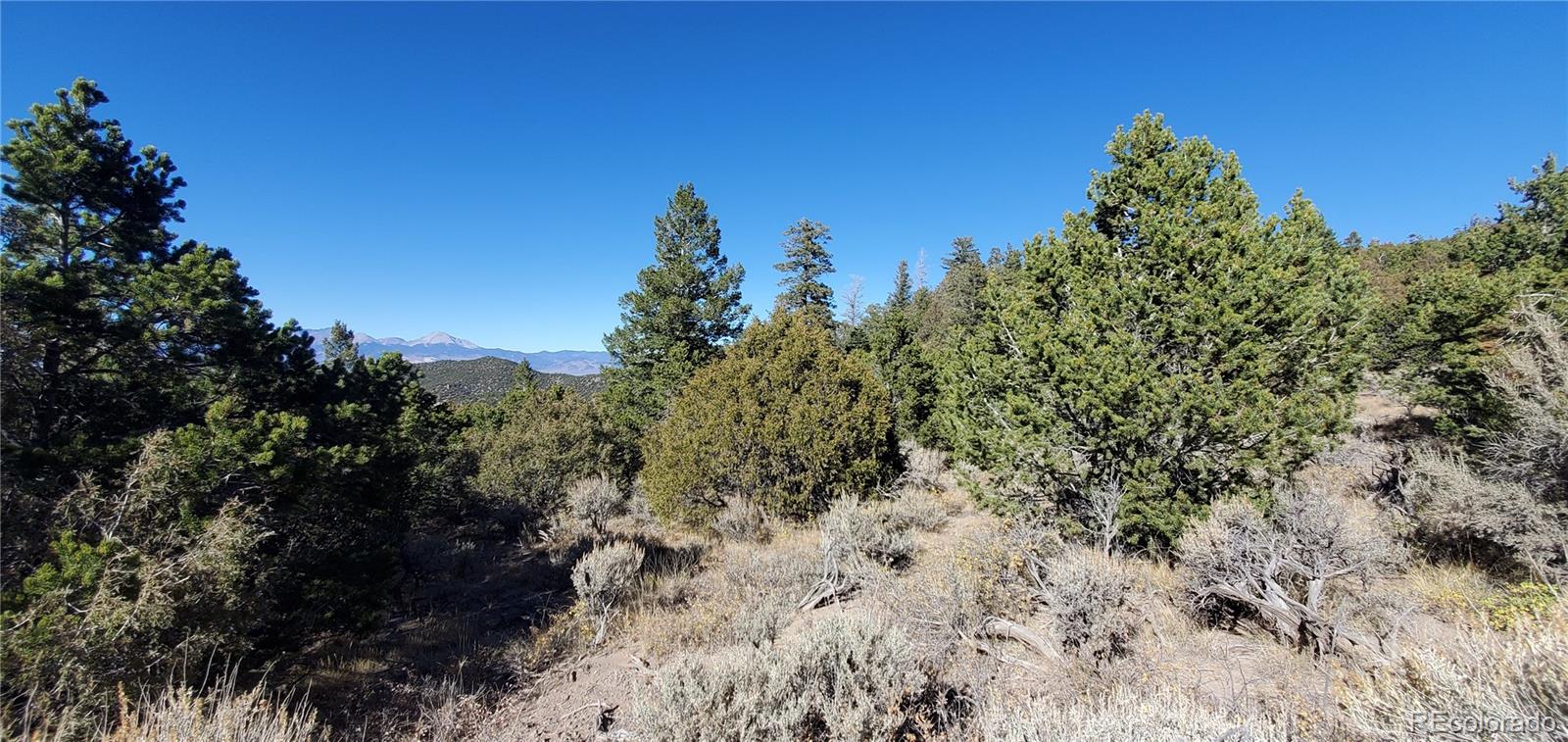 5486 Balleroy Road San Luis CO 81152