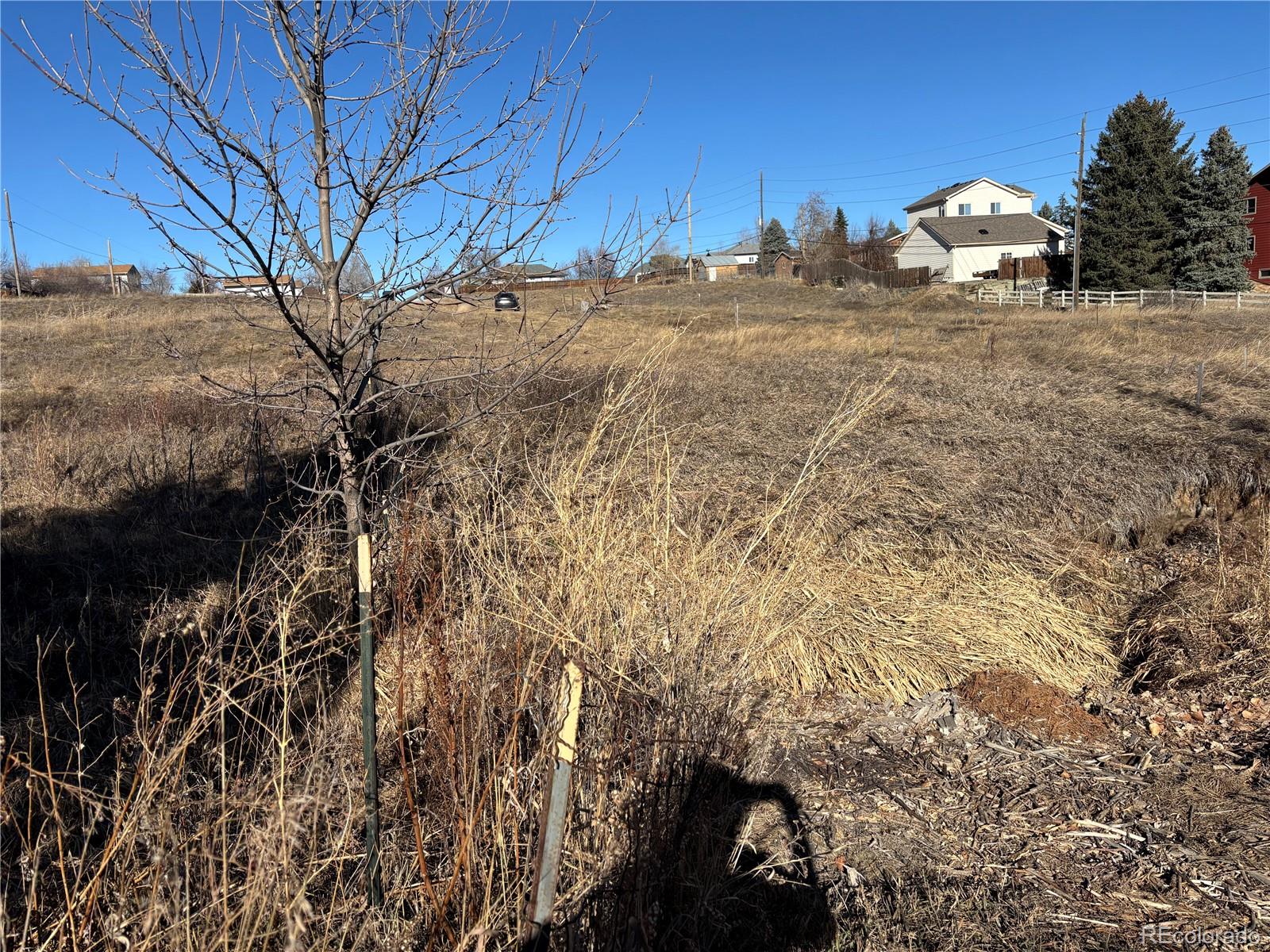 7873 S Carr Court Littleton CO 80128