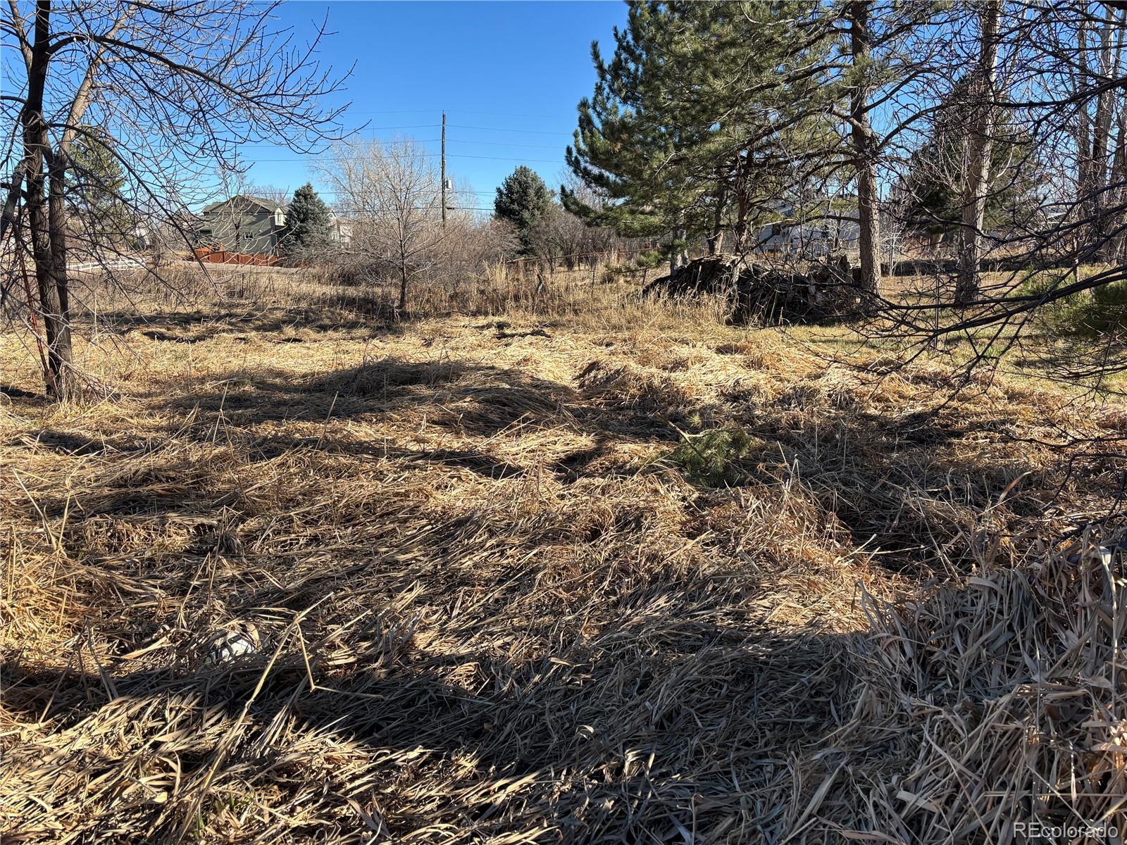 7873 S Carr Court Littleton CO 80128