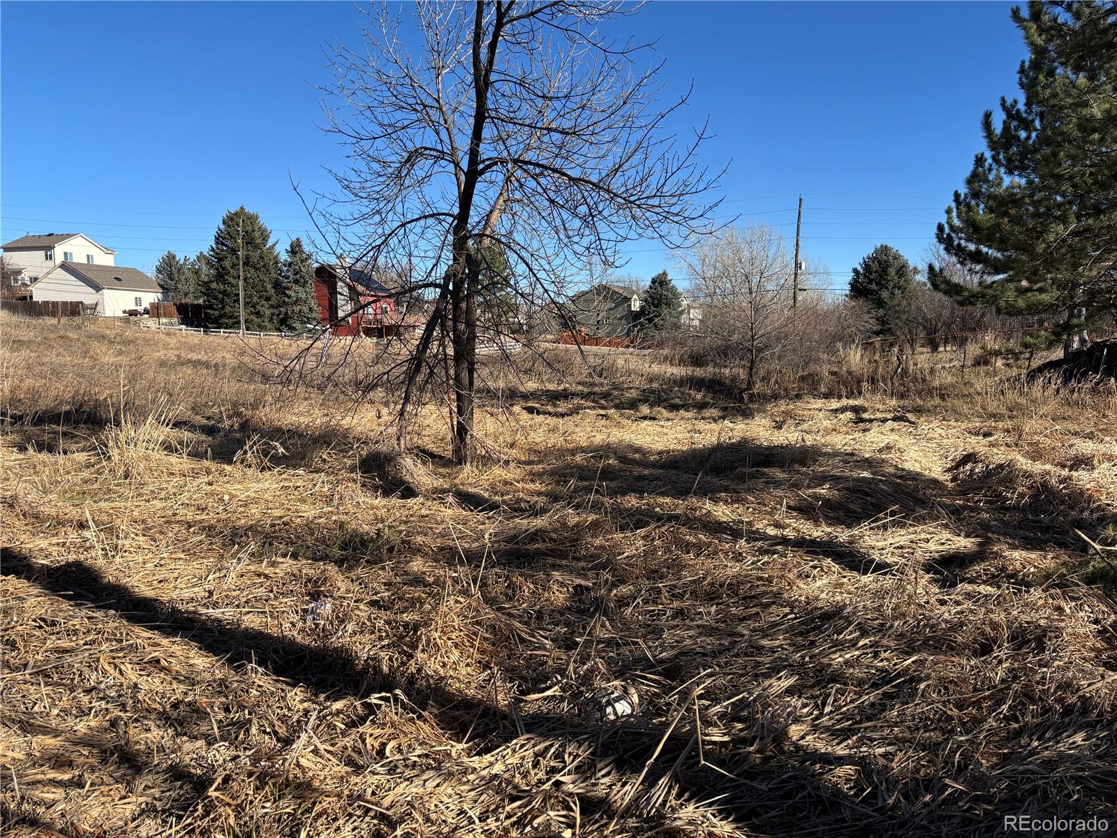 7873 S Carr Court Littleton CO 80128