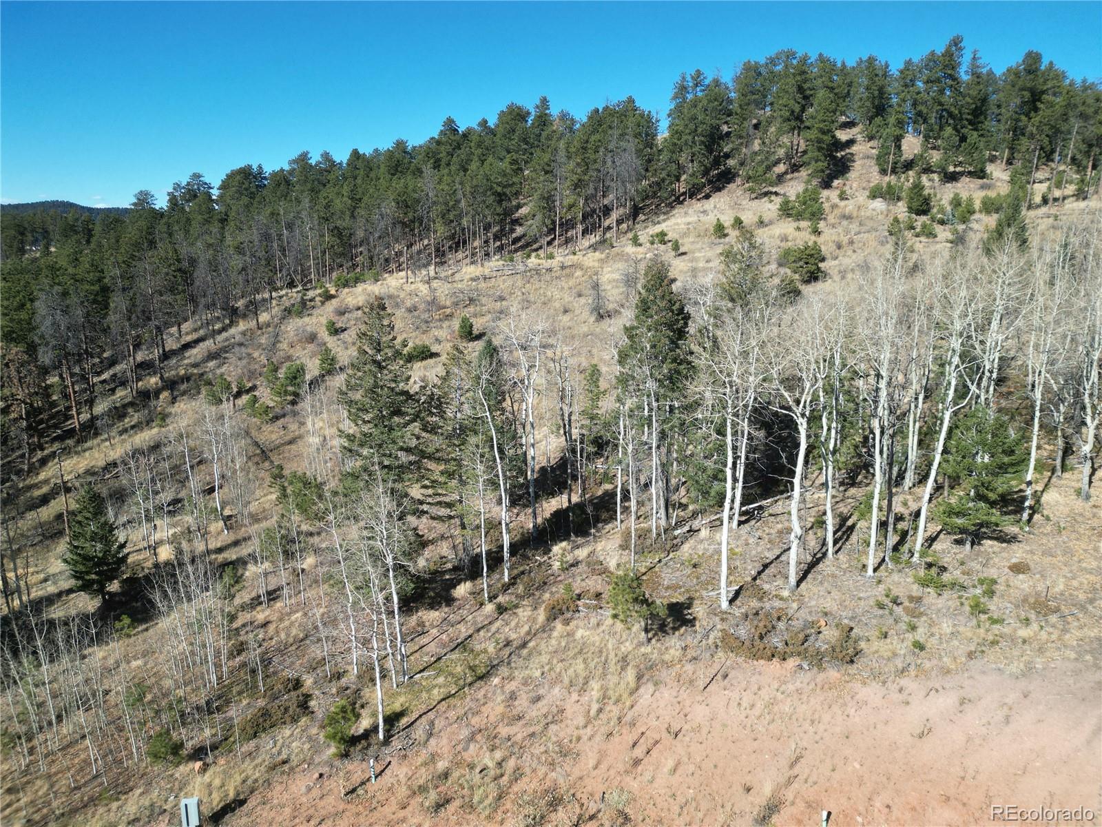 14 Blue Haven Place Woodland Park CO 80863