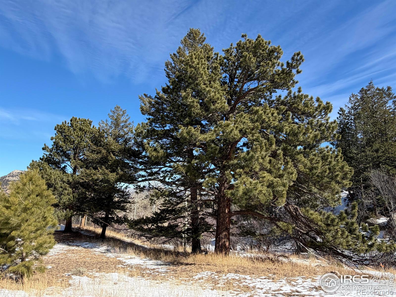 2799 Kiowa Court Estes Park CO 80517
