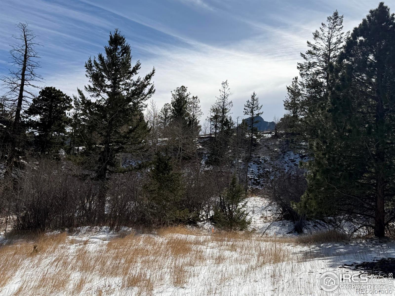 2799 Kiowa Court Estes Park CO 80517