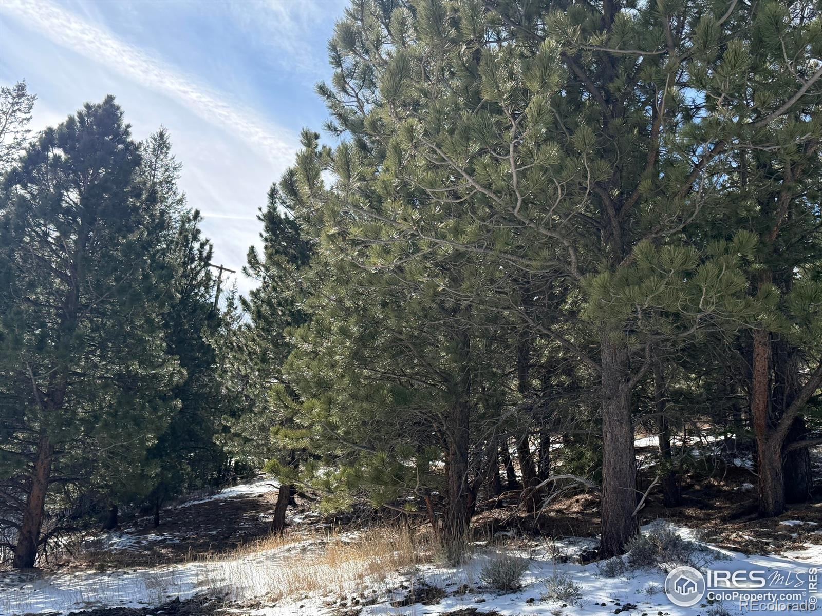 2799 Kiowa Court Estes Park CO 80517
