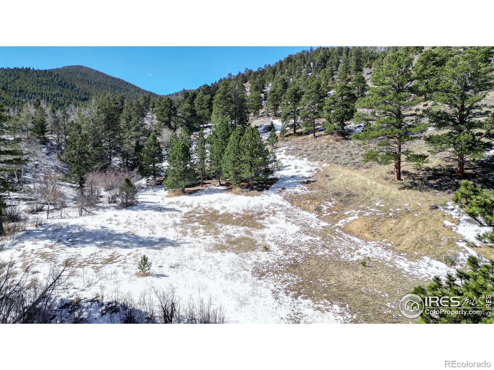 2799 Kiowa Court Estes Park CO 80517