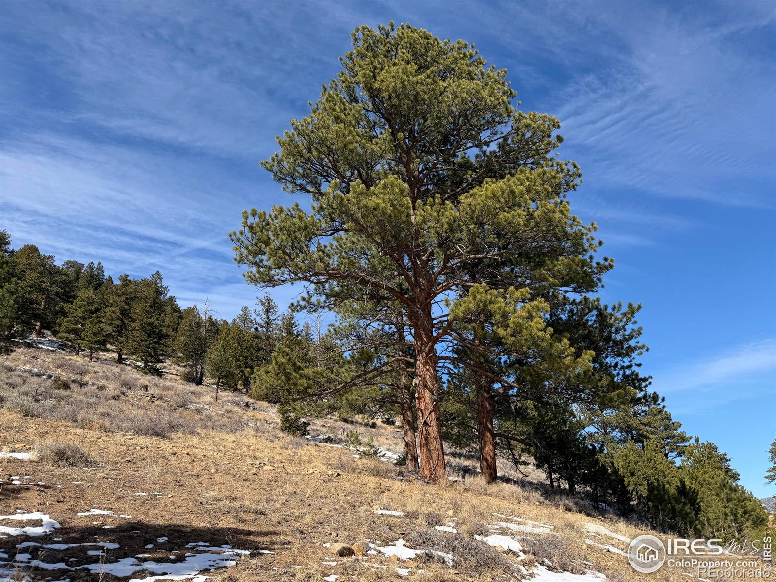 2799 Kiowa Court Estes Park CO 80517
