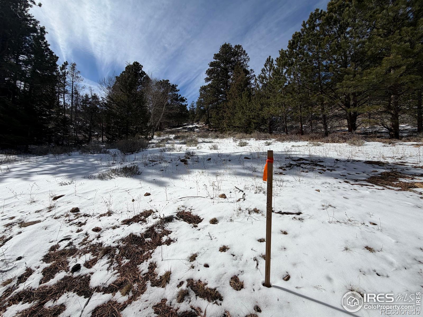 2799 Kiowa Court Estes Park CO 80517