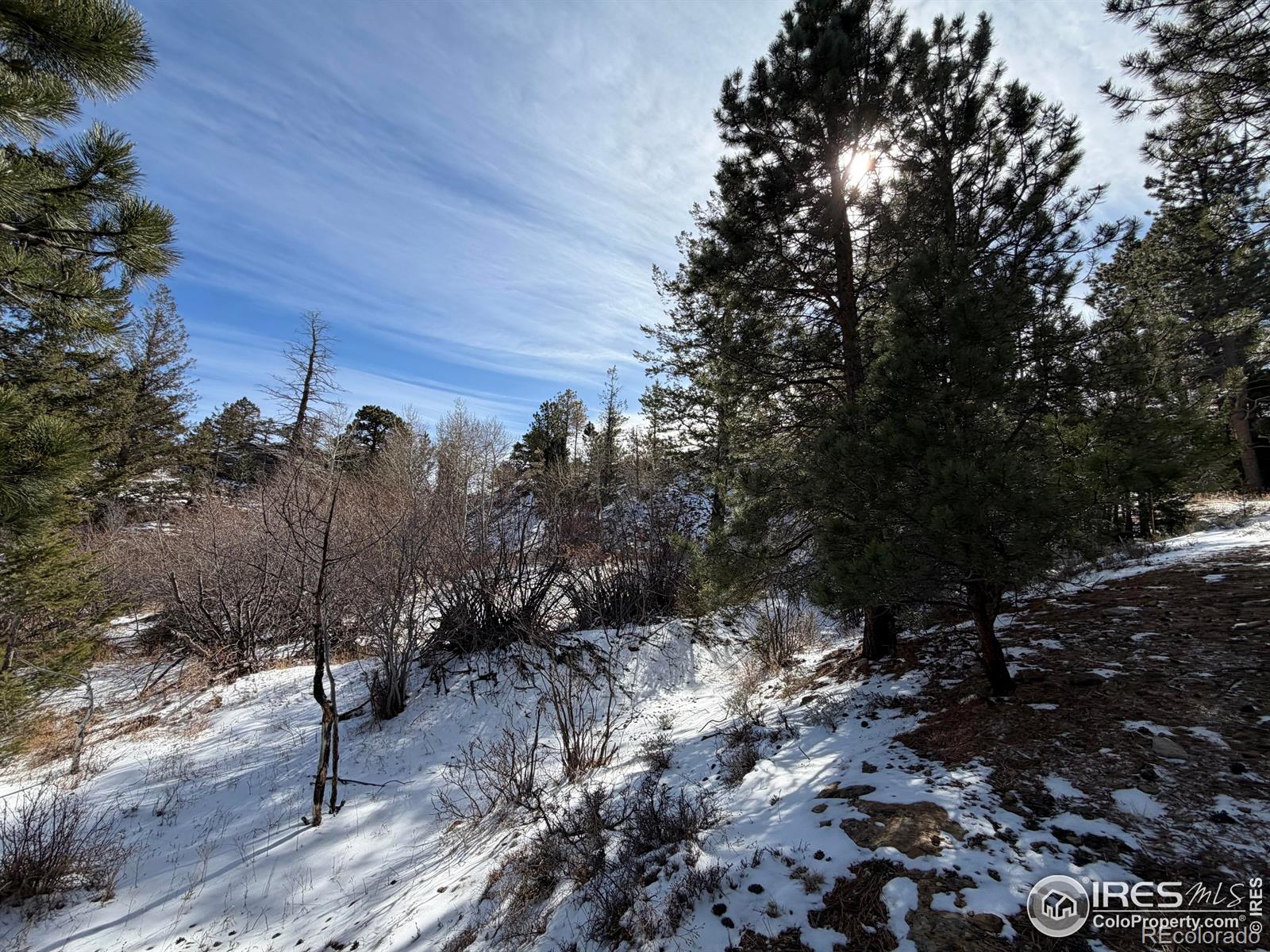 2799 Kiowa Court Estes Park CO 80517