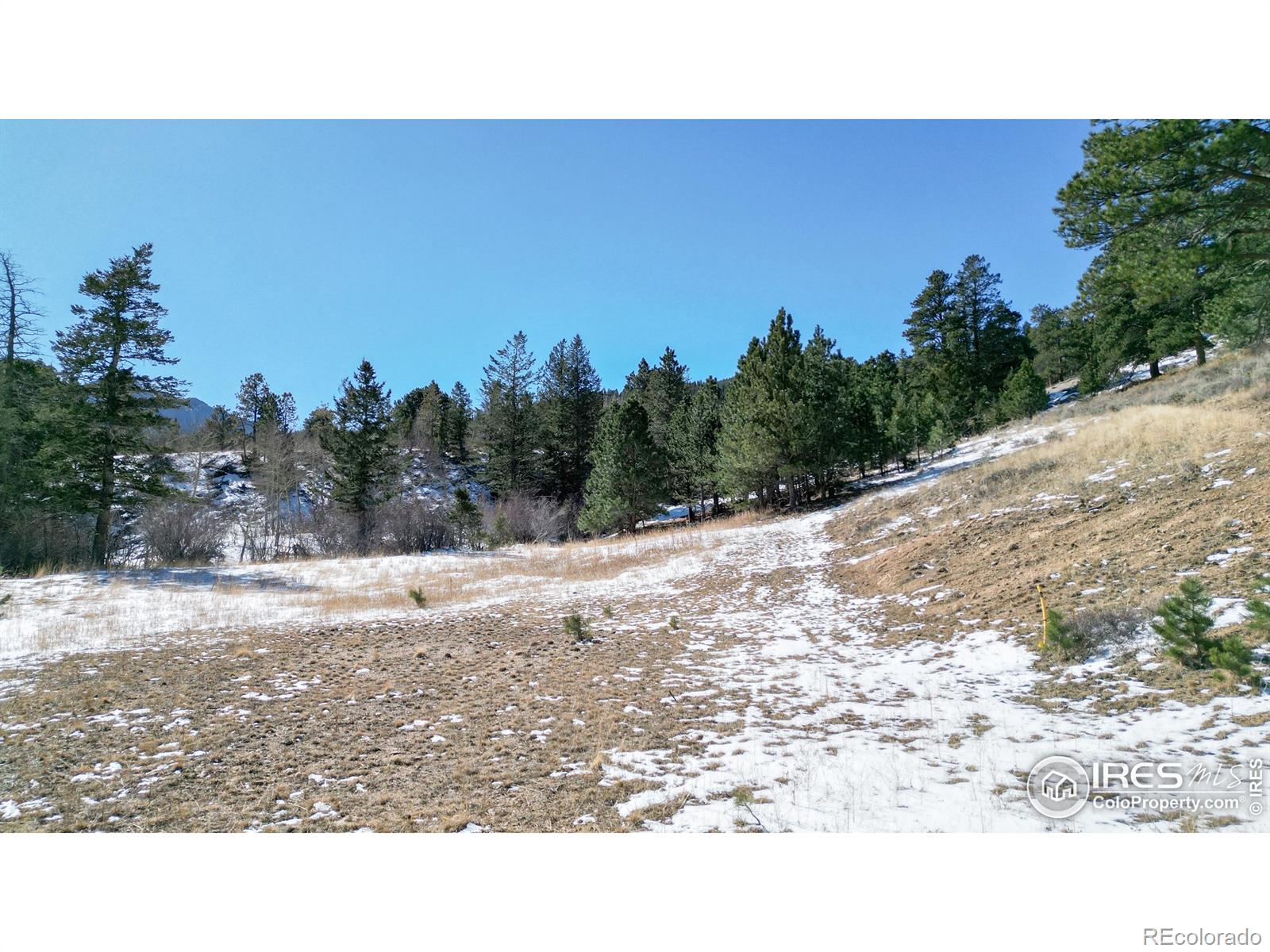 2799 Kiowa Court Estes Park CO 80517