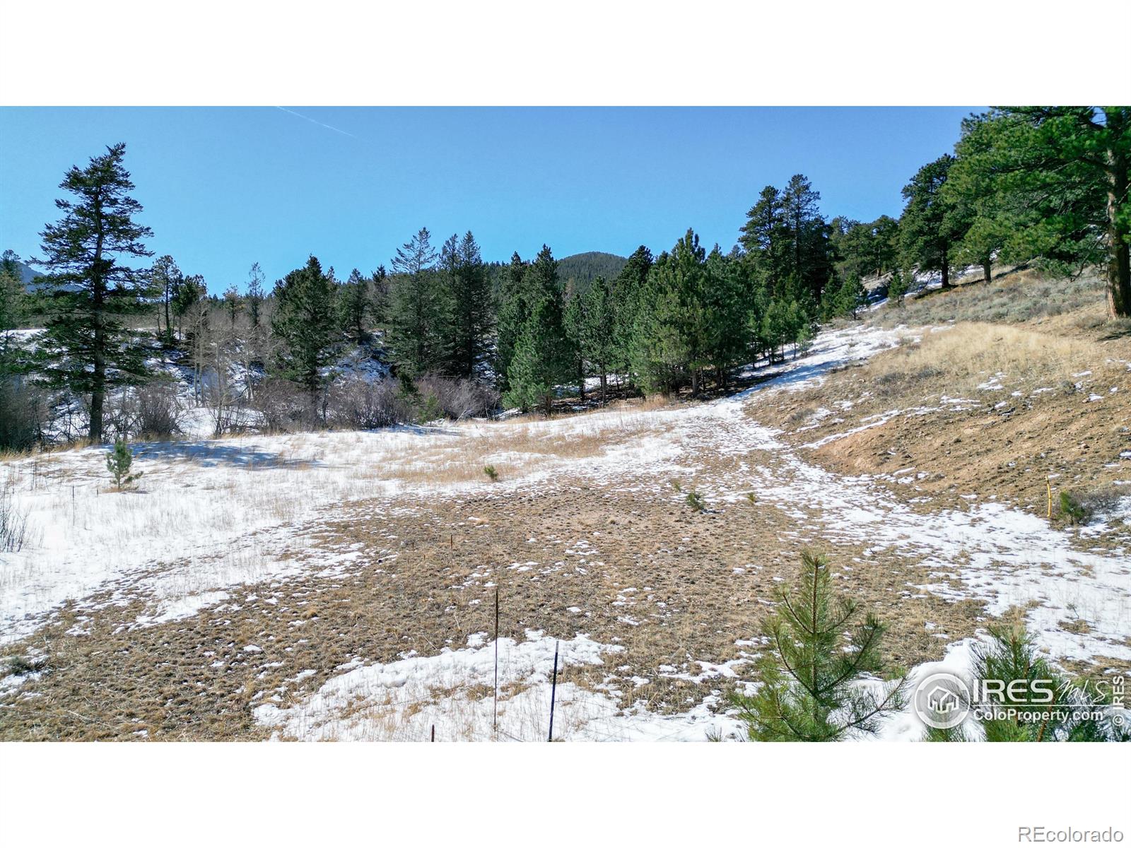 2799 Kiowa Court Estes Park CO 80517
