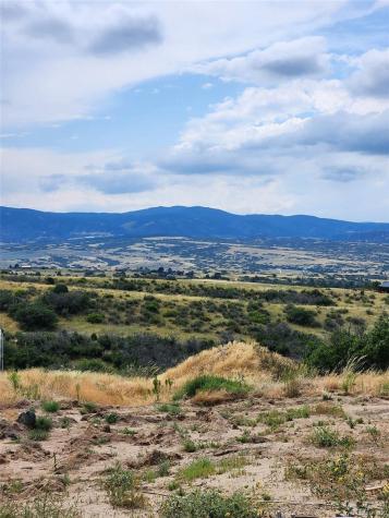 1242 N Faver Drive Castle Rock CO 80109