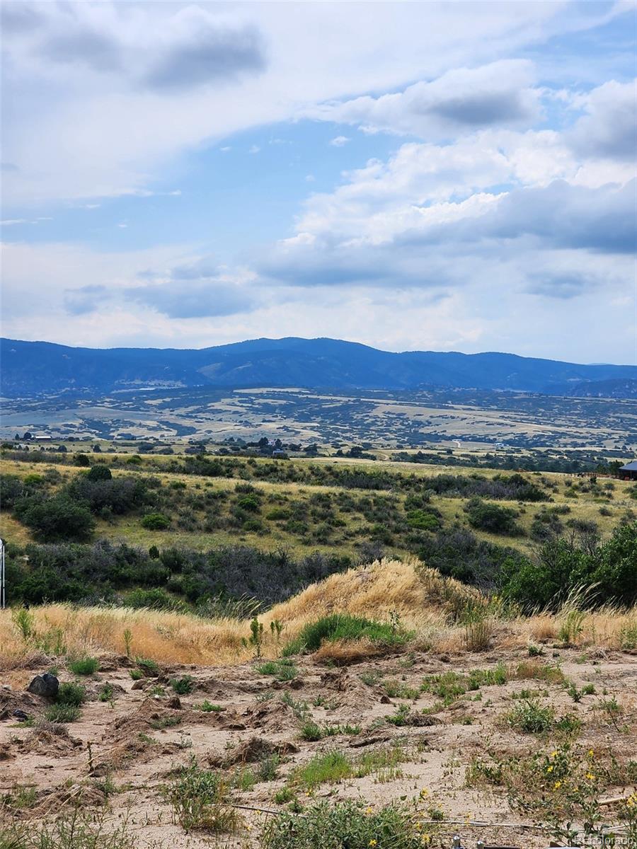 1242 N Faver Drive Castle Rock CO 80109