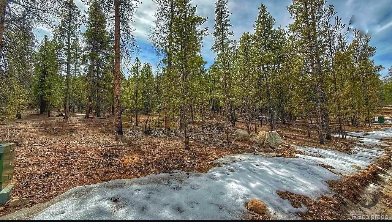 48 Mount Massive Road Twin Lakes CO 81251
