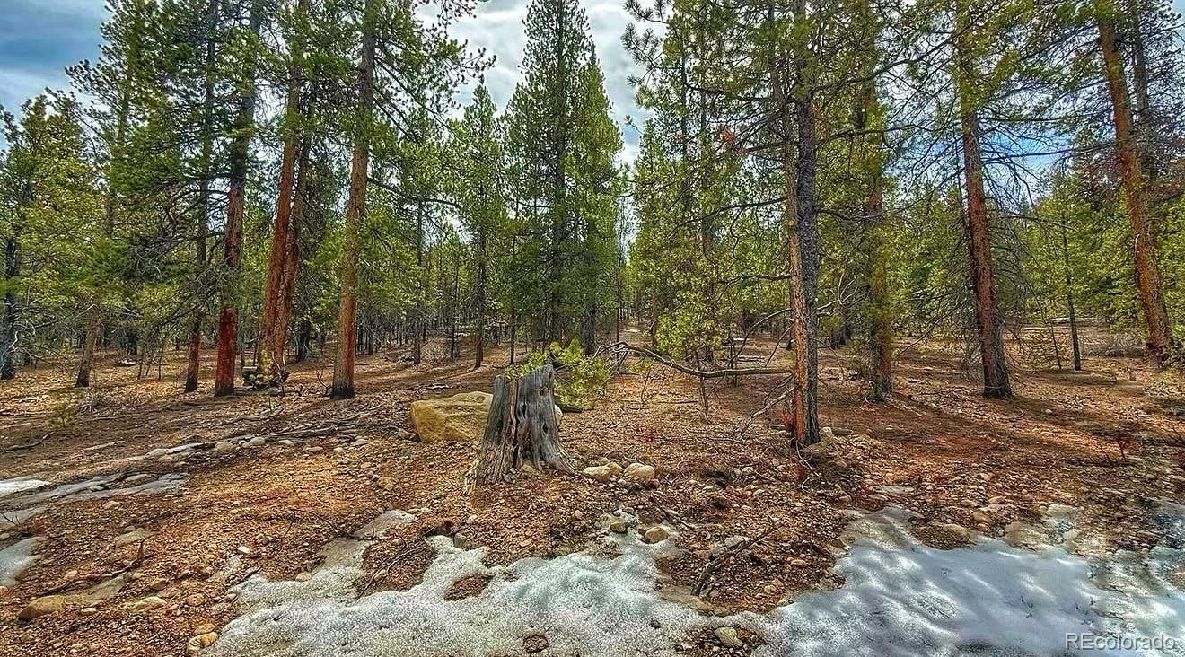 48 Mount Massive Road Twin Lakes CO 81251