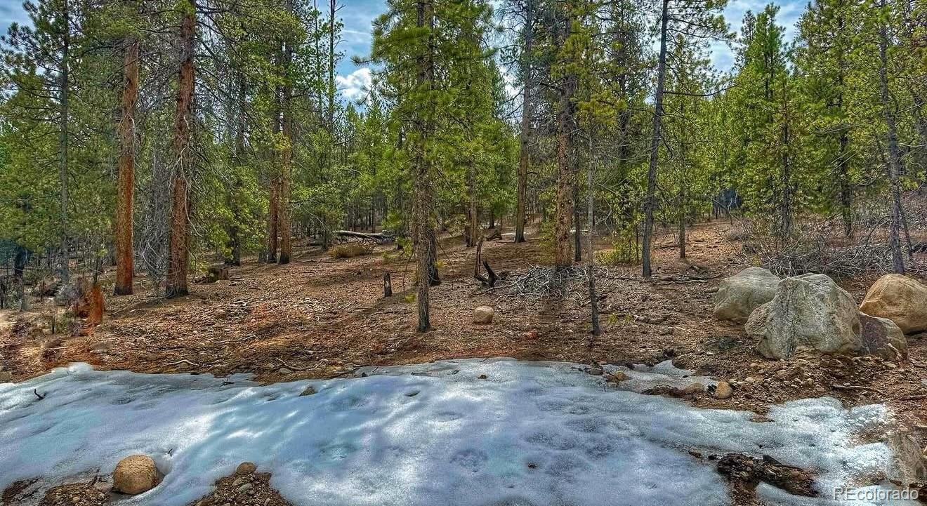 48 Mount Massive Road Twin Lakes CO 81251