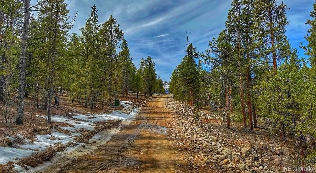 48 Mount Massive Road Twin Lakes CO 81251