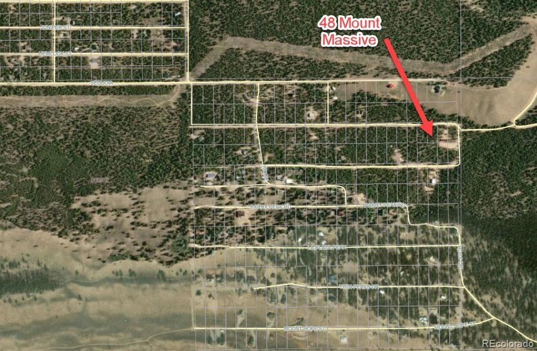48 Mount Massive Road Twin Lakes CO 81251